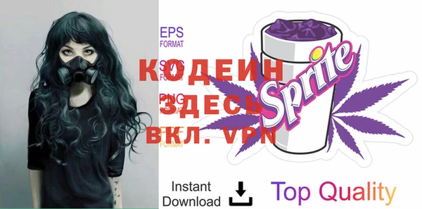 дживик Няндома