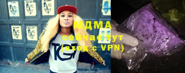 дживик Няндома