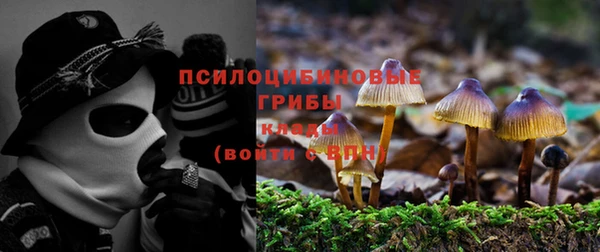 синтетический гашиш Нязепетровск