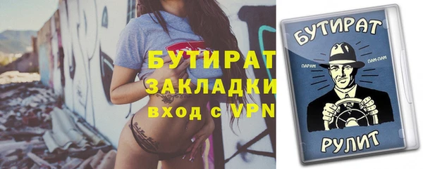 дживик Няндома