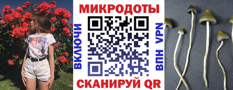 Псилоцибиновые грибы Psilocybine cubensis  Купить  Мурманск 